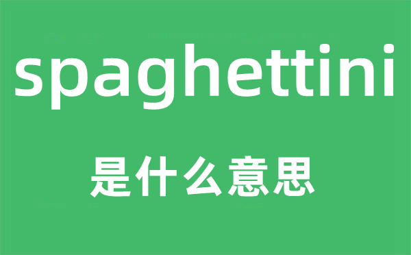 spaghettini是什么意思,spaghettini怎么读,中文翻译是什么