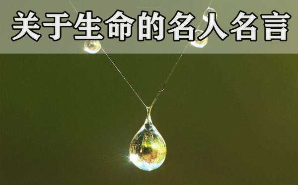 关于生命的名人名言