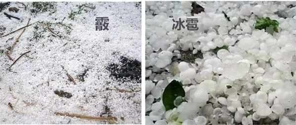 霰怎么读,霰是什么天气,霰和雪的区别