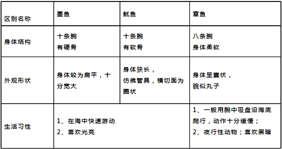 章鱼真的没有身子吗,章鱼的身体结构