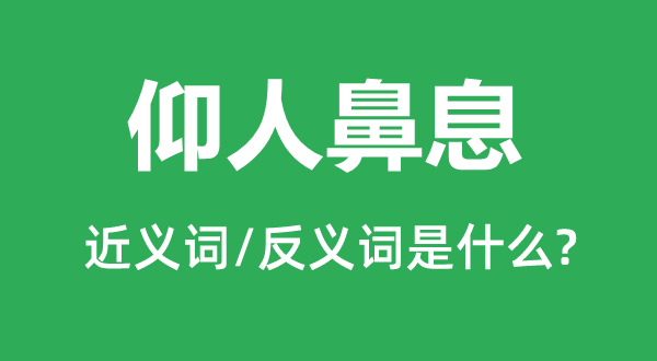 仰人鼻息的近义词和反义词是什么,仰人鼻息是什么意思