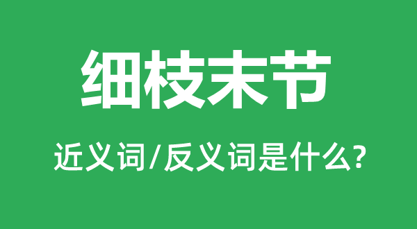 细枝末节的近义词和反义词是什么,细枝末节是什么意思